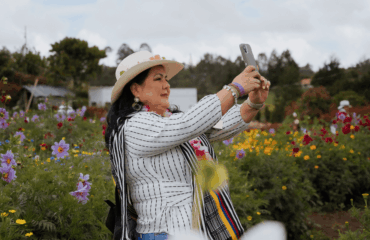 feria-de-las-flores